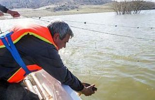 Yasak 15 Haziran’a kadar sürecek