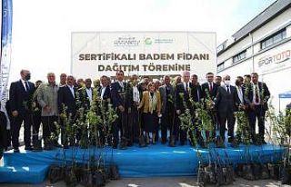 Yavuzeli çiftçisine 20 bin badem fidanı dağıtıldı
