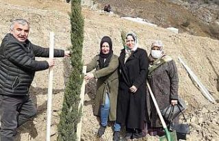 Yeni Yusufeli kadınların eliyle yeşilleniyor
