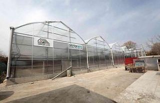 Yenimahalle’deki yeni sera inşaatında sona yaklaşıldı