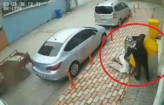 Yok artık...Çöp konteynerlerini böyle çaldı