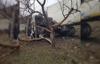 Yoldan çıkan tır meyve bahçesine girdi