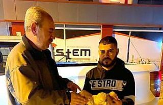 Yorgun düşen şahin tedavi altına alındı