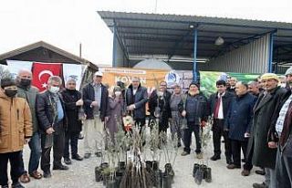 Yunusemre Belediyesinden üreticilere fidan ve kovan...