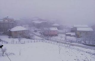 Yürksek kesimlerde kar yağışı etkili oldu