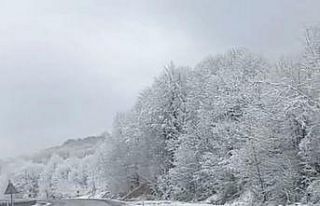 Zonguldak’ın yüksek kesimlerinde kar etkili oldu