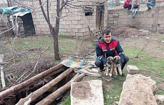 13 metre derinlikteki çukura düşen yavru köpekler...