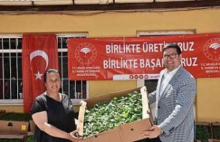 1 milyon 153 bin Ata Tohumu’ndan fide Muğla çiftçisiyle...