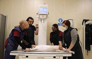 4 binin üzerinde hasta hayvan şifa buldu