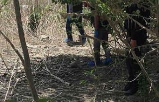 Adana’da kafatası ve insan bedeni parçaları bulundu