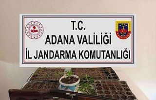 Adana’da kenevir eken 3 kişi yakalandı