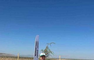 Afyonkarahisar-Kütahya yolu ağaçlandırılıyor