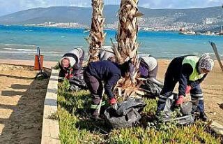 Akbük, turizm sezonunu yenilenmiş yüzüyle karşılayacak
