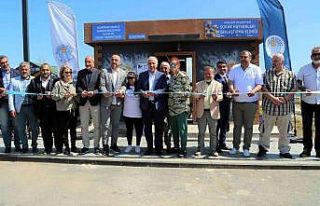 Akdeniz Belediyesi Sokak Hayvanlarını Kısırlaştırma...