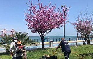 Akdeniz’de parklar bahara hazırlanıyor