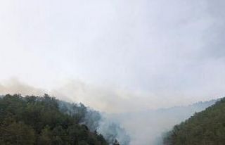 Akli dengesi bozuk şahıs ormanı yaktı, 1,9 hektar...