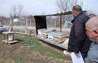 Akyurt’ta amatör arıcılara yüzde 100 destek