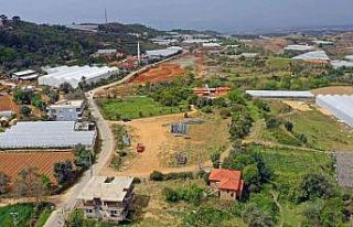 Alanya’da Tropik Meyve Tanıtım Merkezi kuruluyor