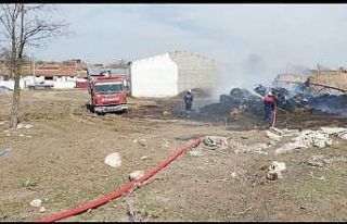 Alevler 100’e yakın saman balyasını küle çevirdi