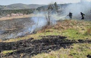Altınova’da arazi yangını kısa sürede söndürüldü