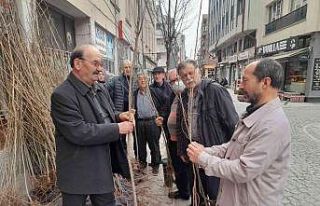 Arıcılara ücretsiz yalancı akasya fidanı dağıtıldı