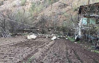 Artvin’de yamaçtan kopan dev kayalar bir evin bahçesine...