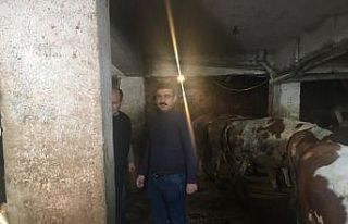 Aşkale’de hayvan hastalıkları inceleniyor