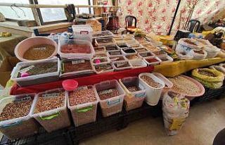 Ata tohumları satarak geçimini sağlıyor