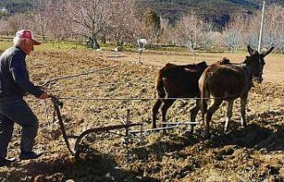 Atadan kalma ilk genelliğini sürdürüyor
