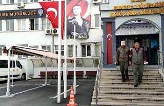 Atı aracına bağlayarak kilometrelerce koşturan...