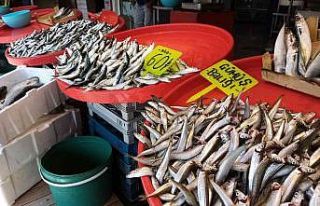 Av yasağı geldi, hamsinin fiyatı yükseldi