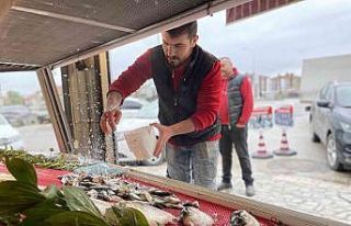 Avlanma yasağı başladı, tezgahları olta balıkları...