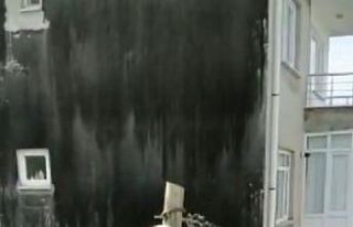 Ayağından elektrik teline takılan martıya kurtarma...