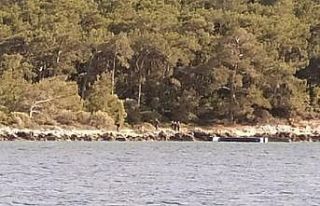 Aydın’da 35 düzensiz göçmen kurtarıldı