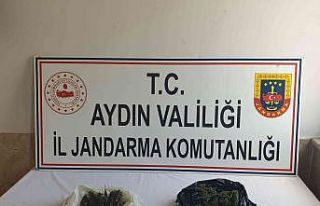Aydın’da bir haftada yaklaşık 3 kilo uyuşturucu...