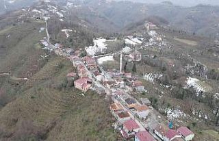 Aynı sokaktaki kapı komşuları 2 dakika farkla...