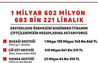 Bakan Kirişci, 5 farklı kalemde 1 milyar 602 milyon...