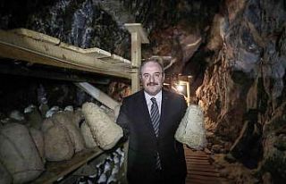 Bakan Varank: "Divle obruk peynirinin kapasitesini...