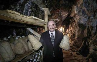 Bakan Varank: "Divle peynirinin daha fazla üretilmesi...