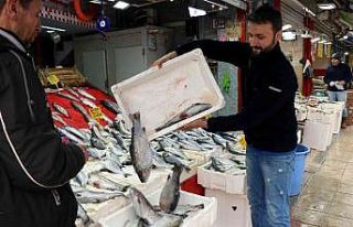 Balık tezgahları kültür balıklarına kaldı