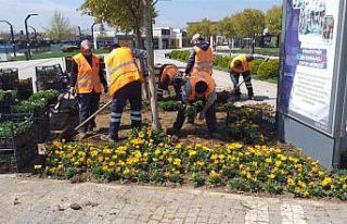 Balıkesir’de Çamlık ve Avlu Bayrama hazır