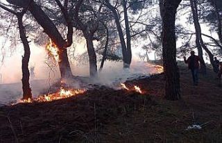 Balıkesir’de gece boyunca çıkan 3 orman yangını...