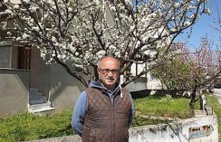 Balıkesir’de meyve ağaçları rengarenk çiçek...