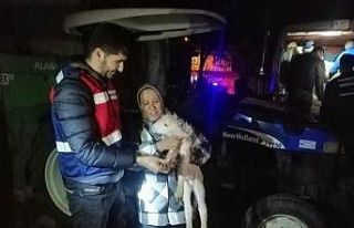 Balya’dan çalınan koyunlar Kepsut’ta ele geçirildi