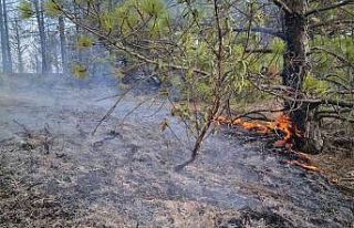 Banaz’da çıkan orman yangınında 4 hektar alan...