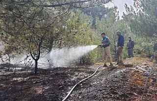 Banaz’da orman yangını