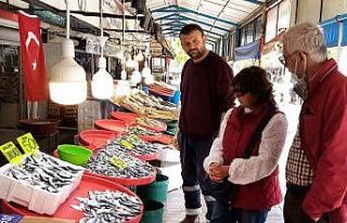 Bandırma balık halinde balık miktarı arttı, fiyatları...