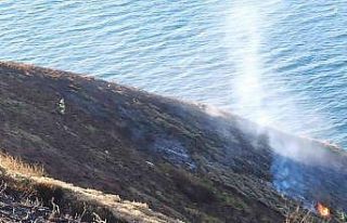 Bandırma’da çıkan yangında üç buçuk dekarlık...