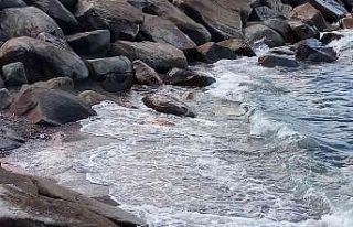 Bandırma’da üç ay önce çekilen deniz normale...