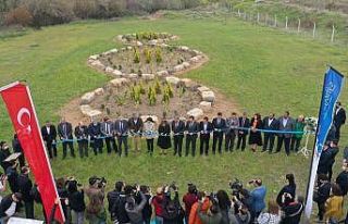 Barışın sembolü ‘Üçüncü Bahçe’ eseri...